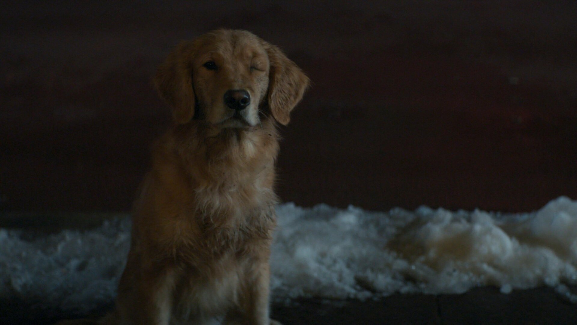 Image: Marvel Studios