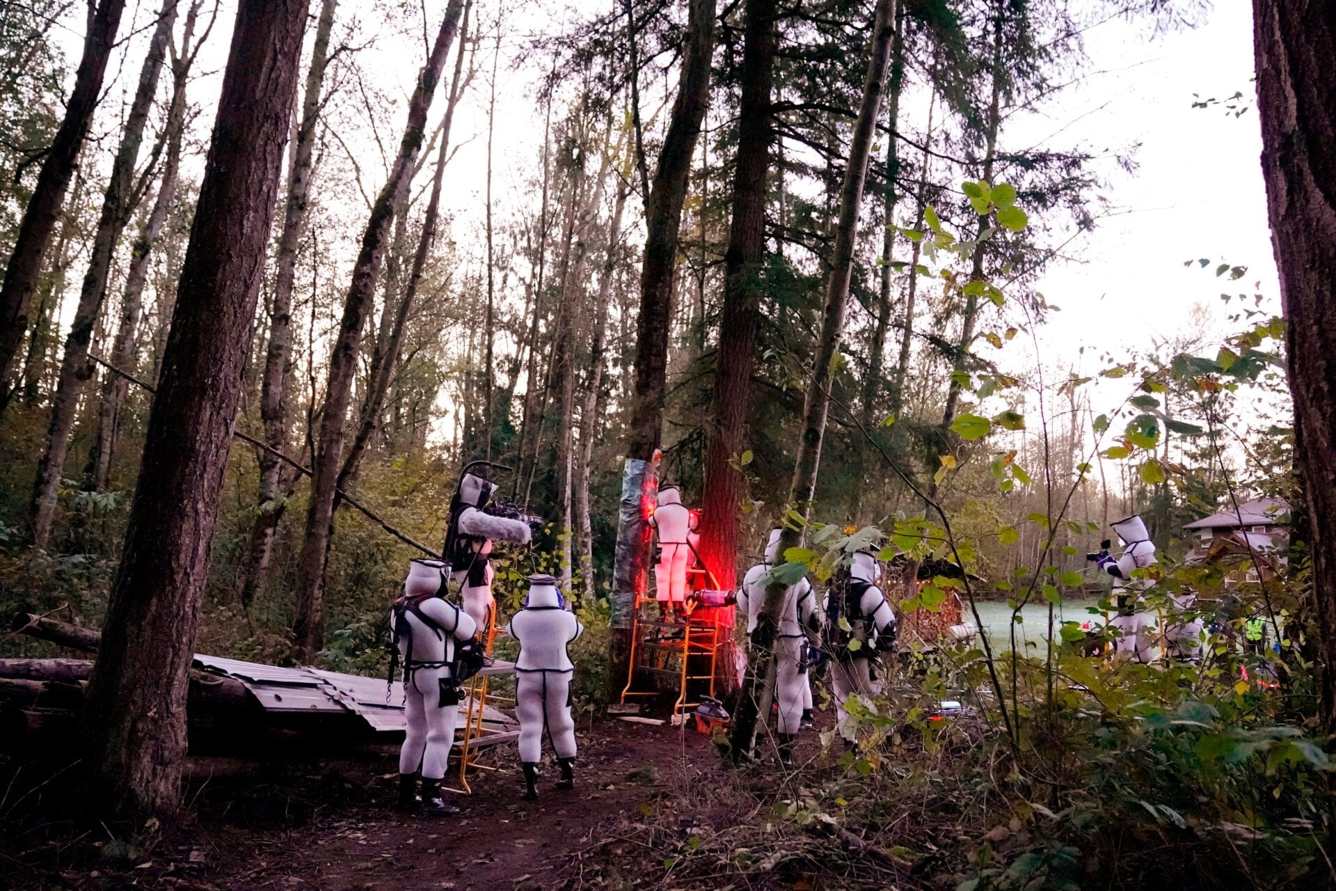 A team from the Washington State Department of Agriculture works on removing a giant hornet nest in October 2020.