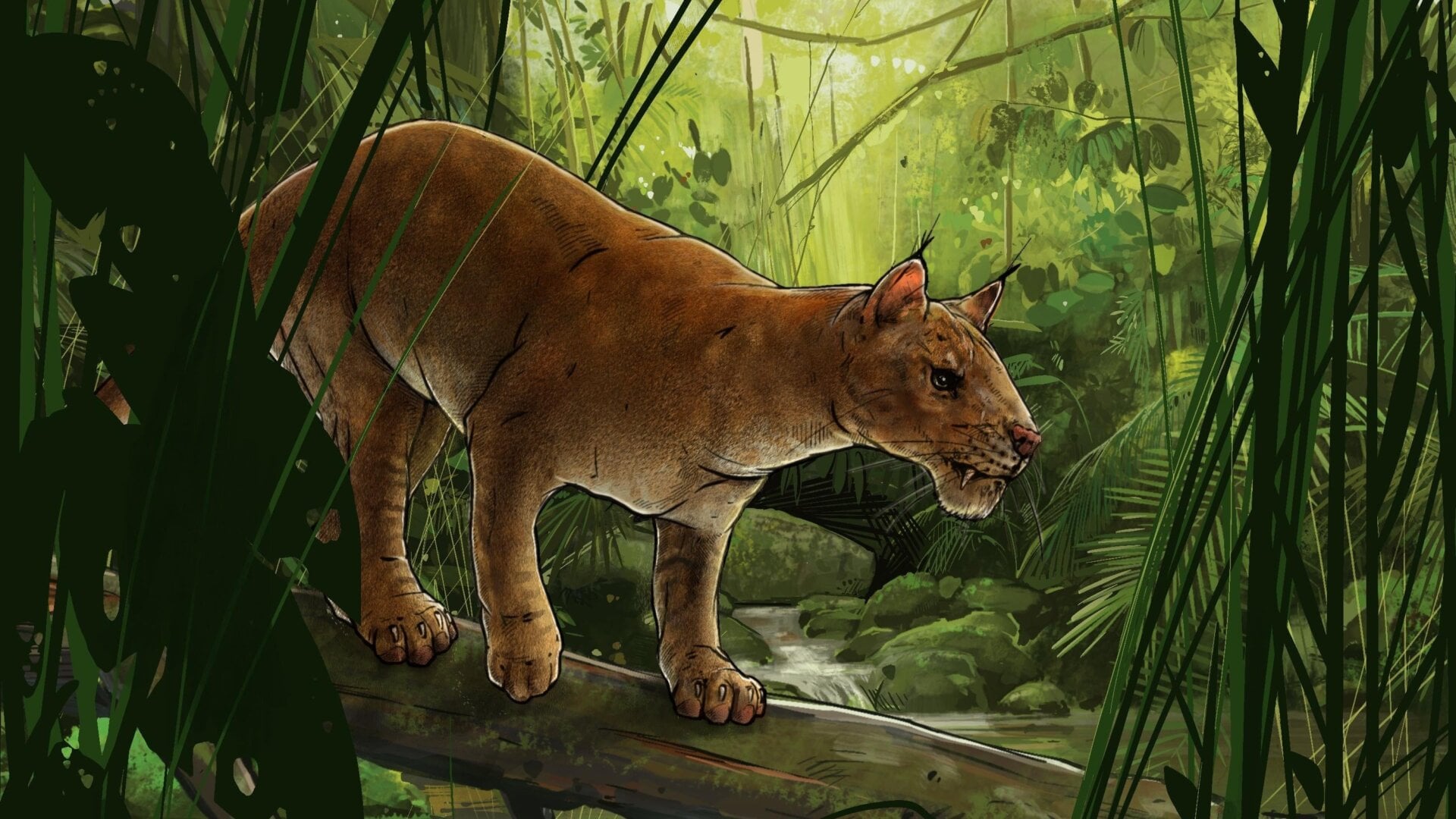 Artist’s interpretation of Diegoalerus.