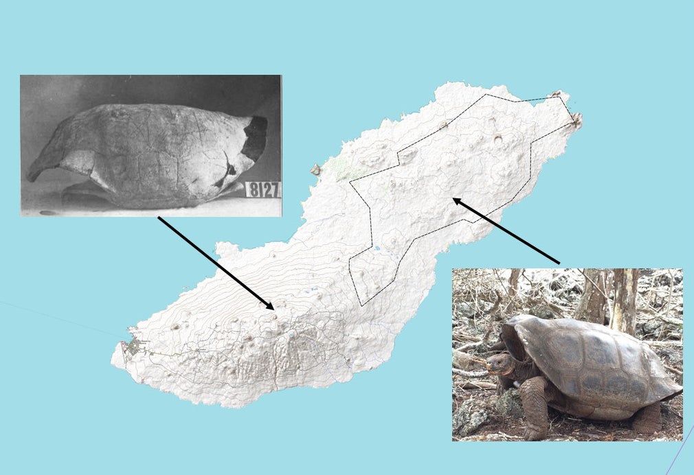 San Cristóbal Island, showing the locations of the two species of giant tortoise. 