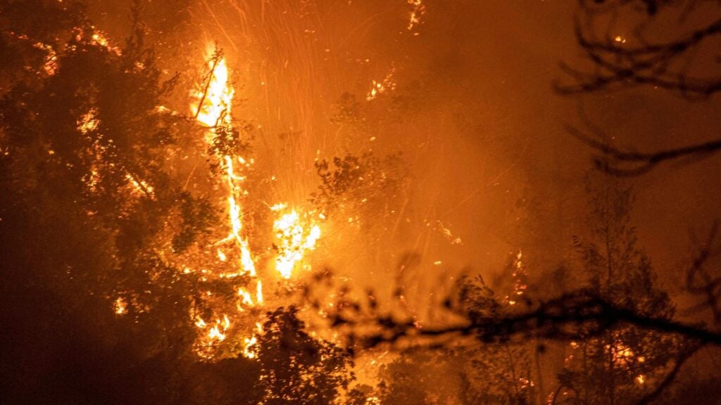 Photo: Nicolas Economou/NurPhoto