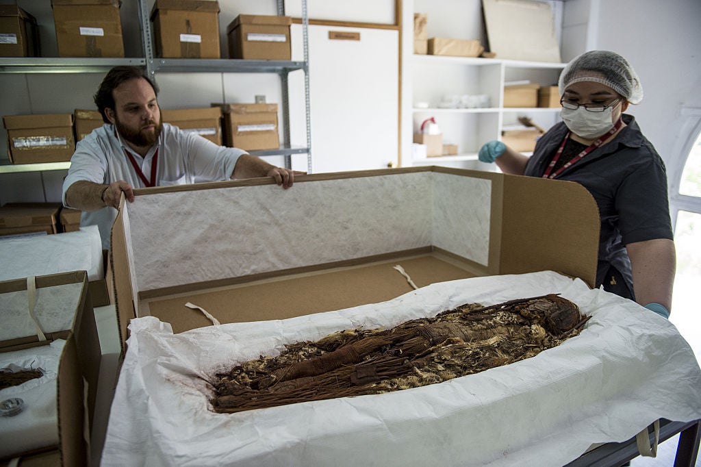 Chilean anthropologist Veronica Silva shows one of the mummies from the ancient Chinchorro culture at the National Museum of Natural History in Santiago, on December 16, 2016.