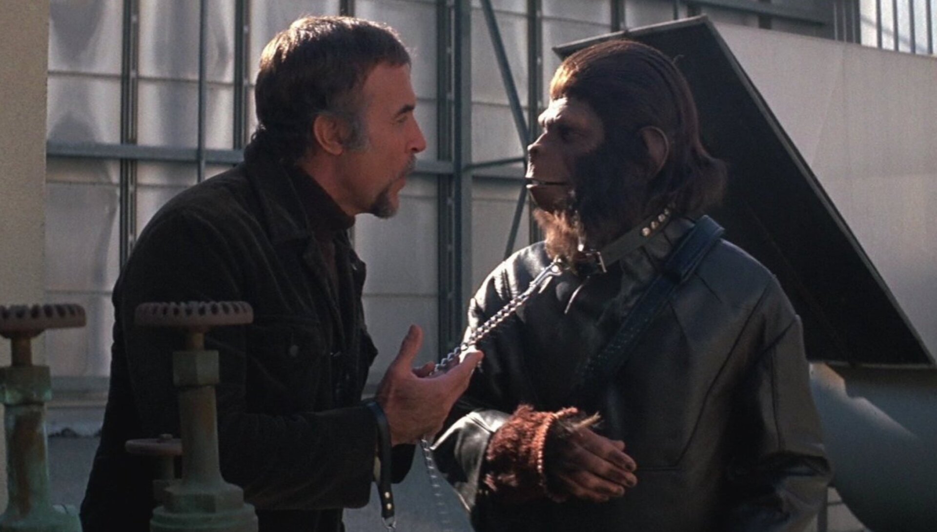 Caesar’s in trouble in Conquest of the Planet of the Apes.