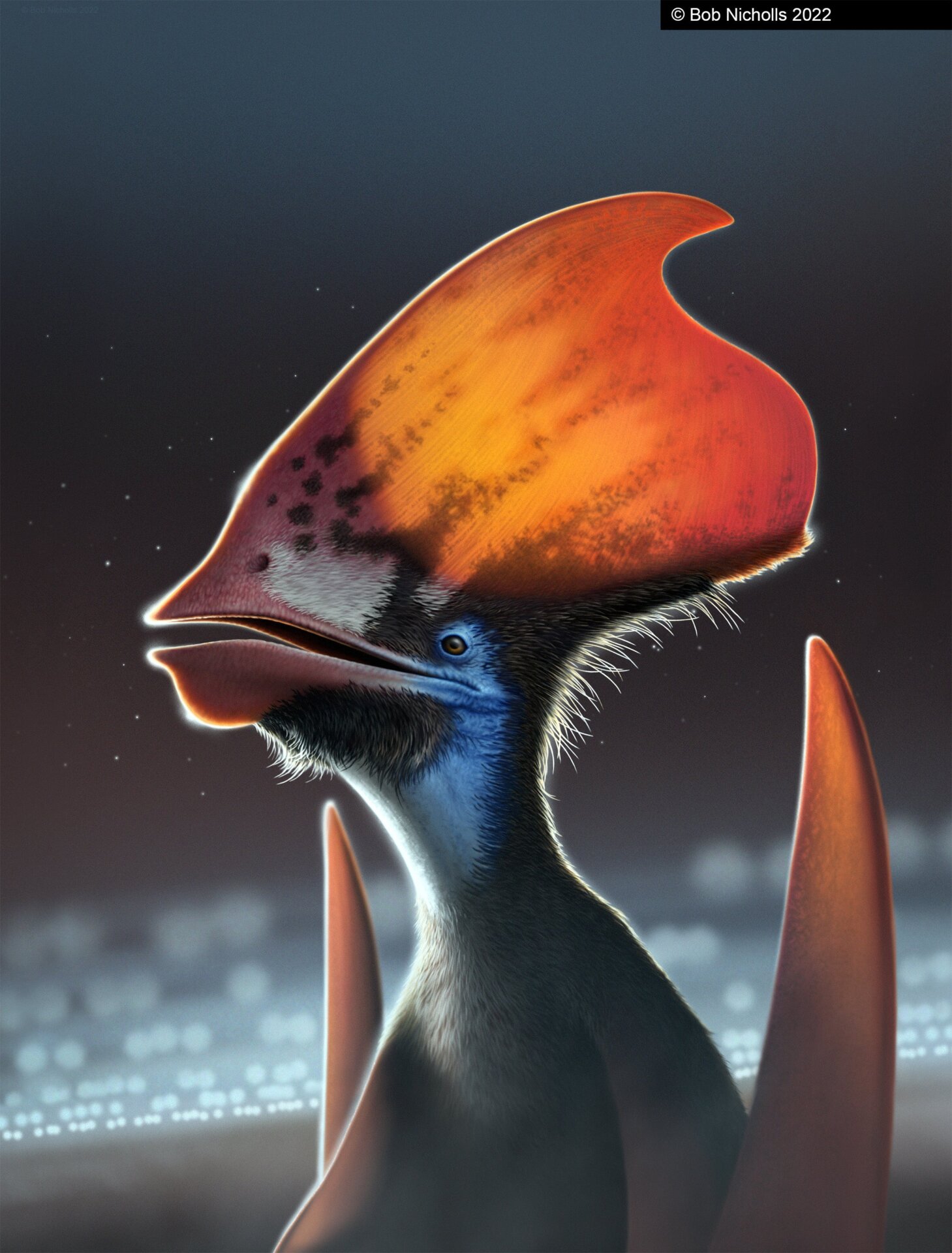 Fossil Of Sick Pterosaur Crest Reveals Clues To Feather Color