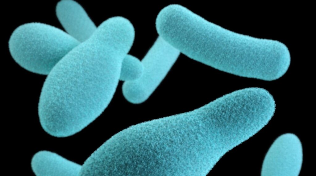 Illustration: Jennifer Oosthuizen/CDC