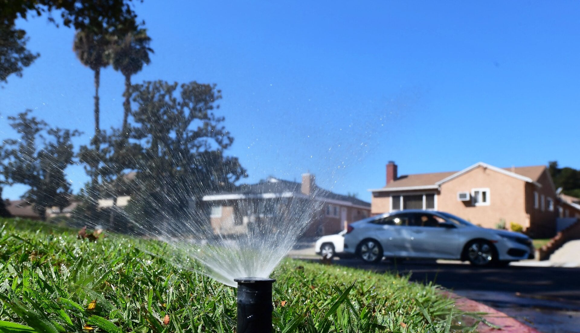 Those sprinklers have to stop, if Los Angeles wants to avoid catastrophic water shortage.