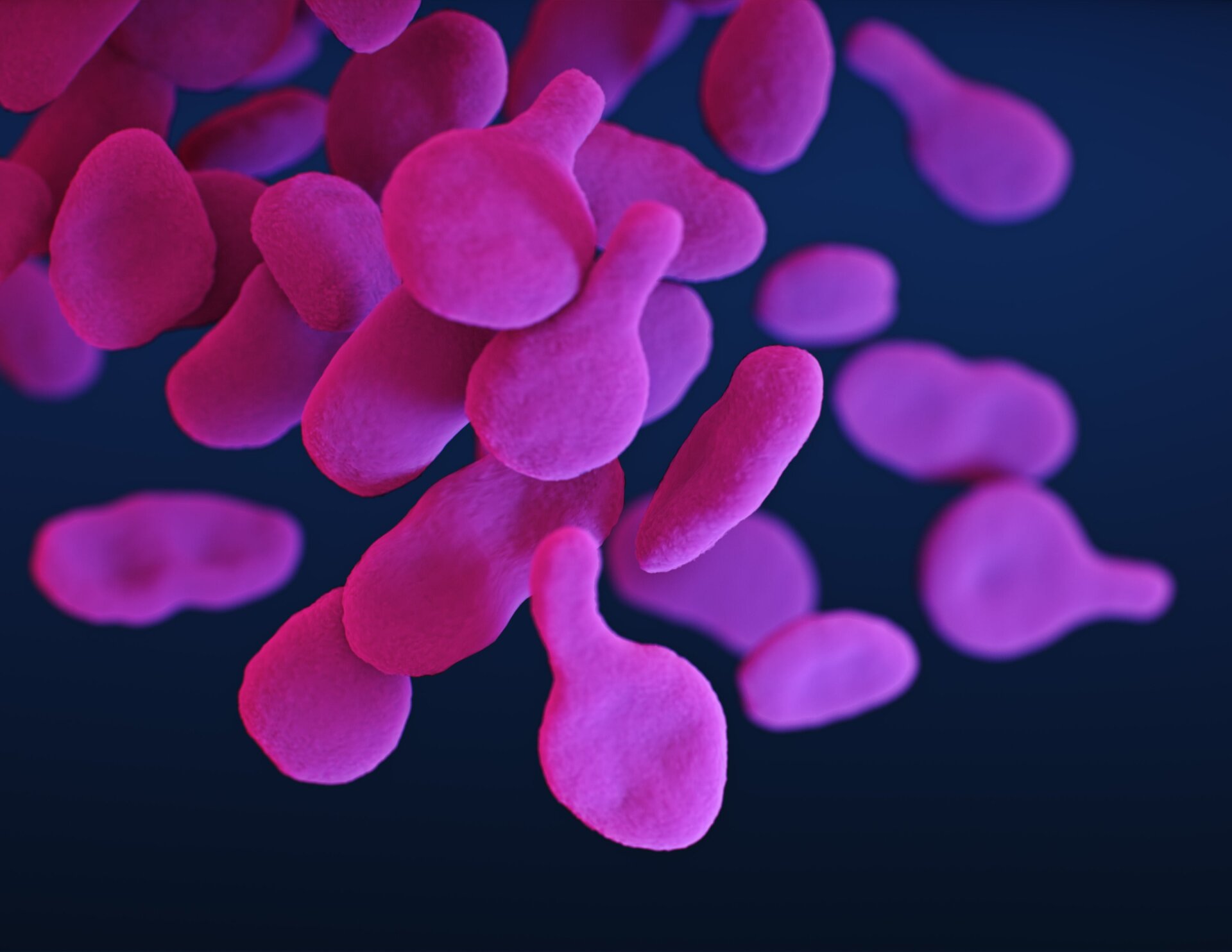 An illustration of drug-resistant Mycoplasma genitalium