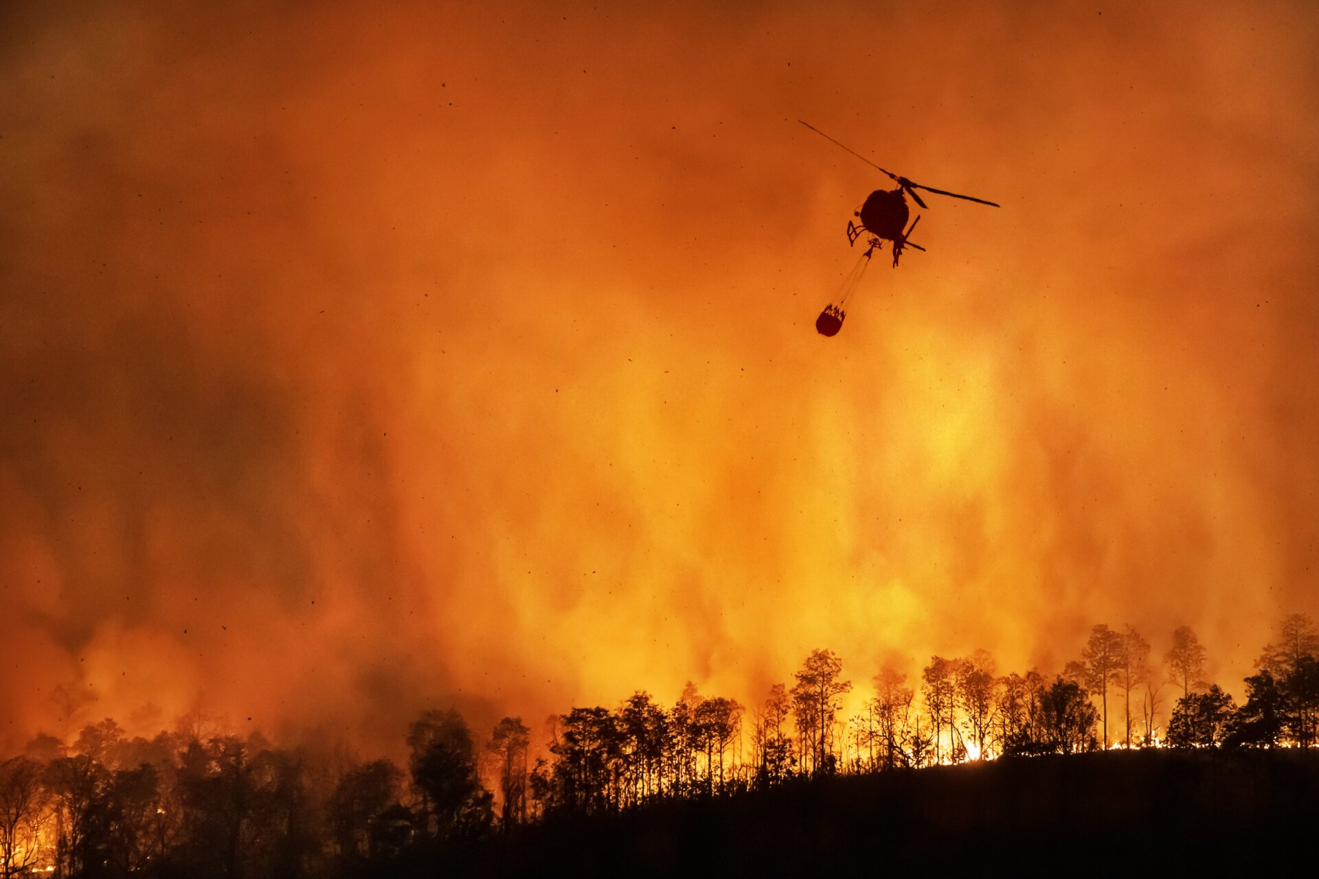 Increasing drought conditions in the American Southwest may be intensifying wildfire frequency.