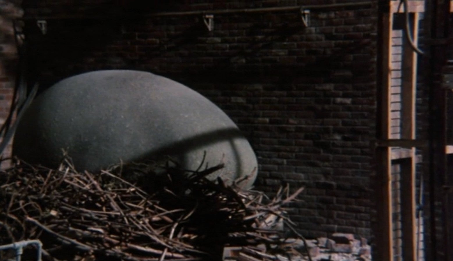 Screenshot: United Film Distribution Company