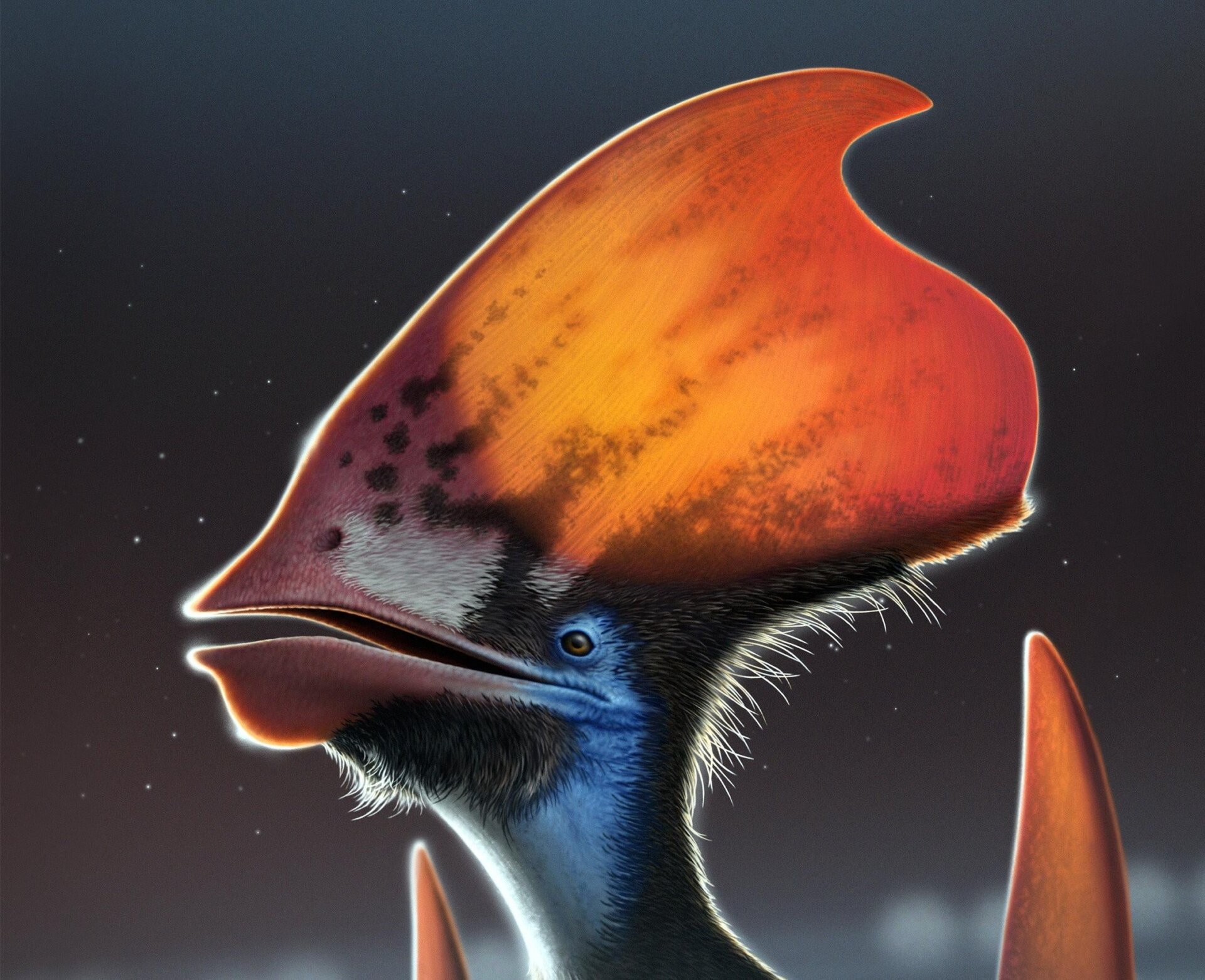 Fossil Of Sick Pterosaur Crest Reveals Clues To Feather Color