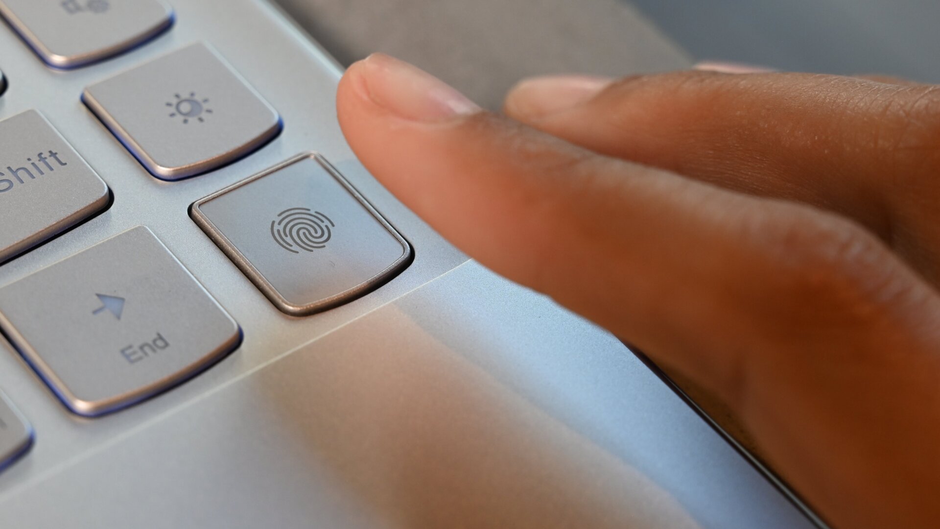 Photo: Phillip Tracy/Gizmodo