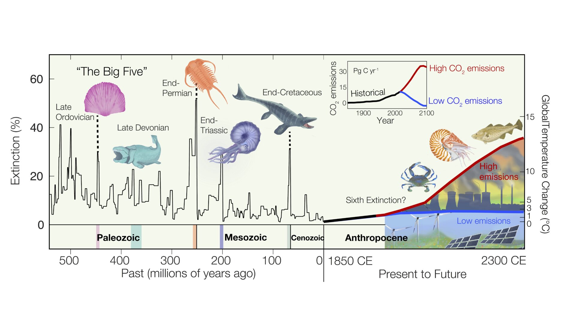 If greenhouse gas emissions continue to accelerate, ocean extinctions from climate warming would rival the “Big Five” mass extinctions in Earth’s past.