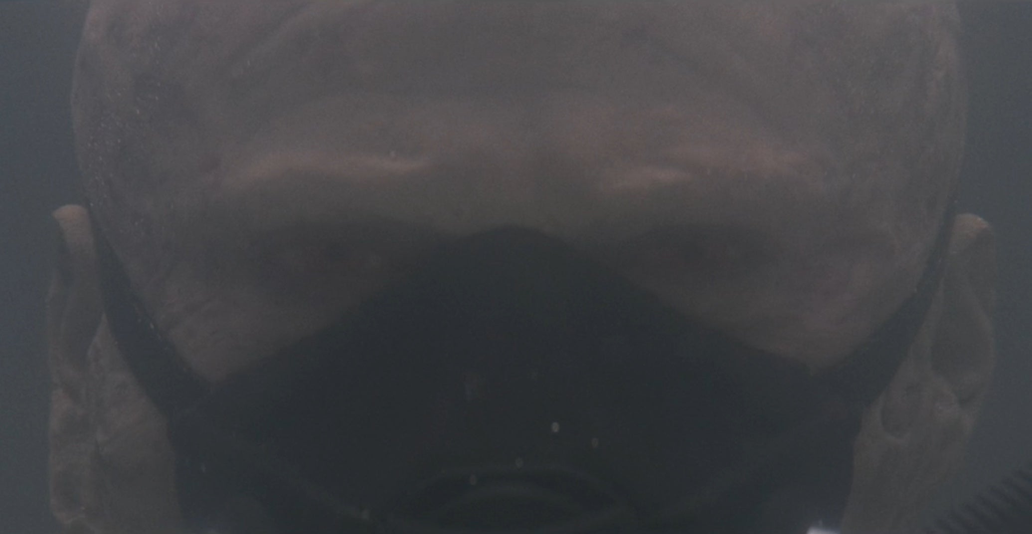 He’s baaaaaack. Hayden Christensen we mean.