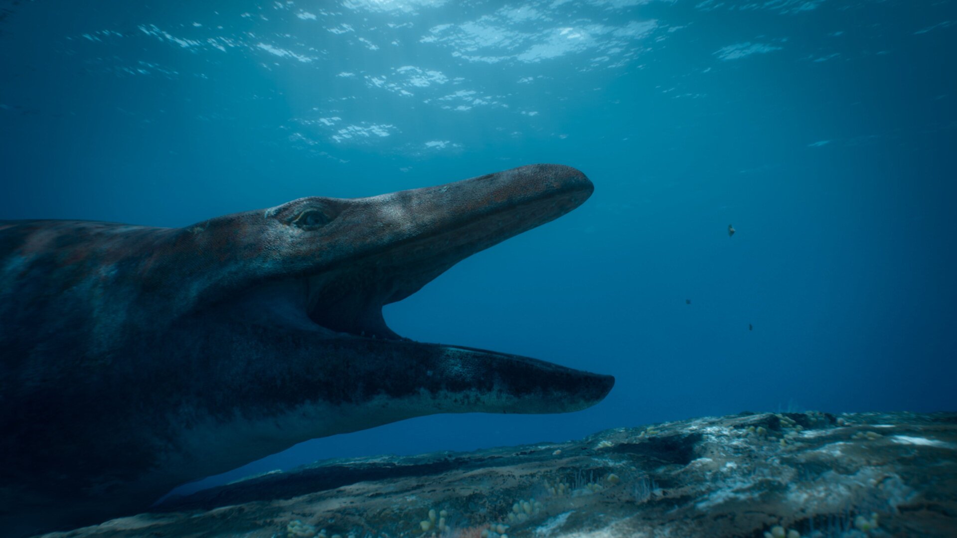 Mosasaurus on a reef system, mouth wide.