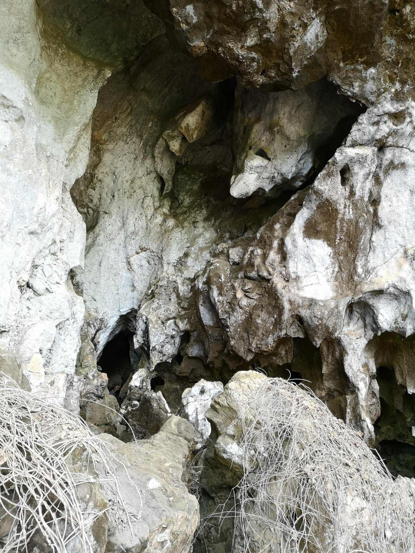 The entrance to Tam Ngu Hao 2 cave, also known as Cobra Cave.