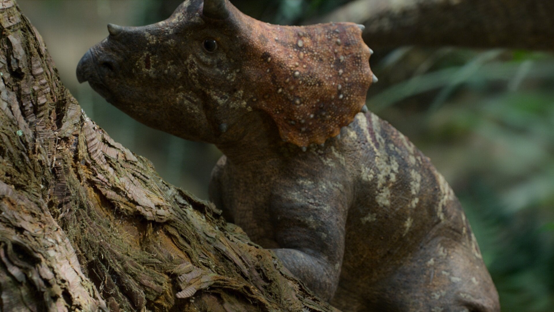 A baby Triceratops, as shown in “Prehistoric Planet.”