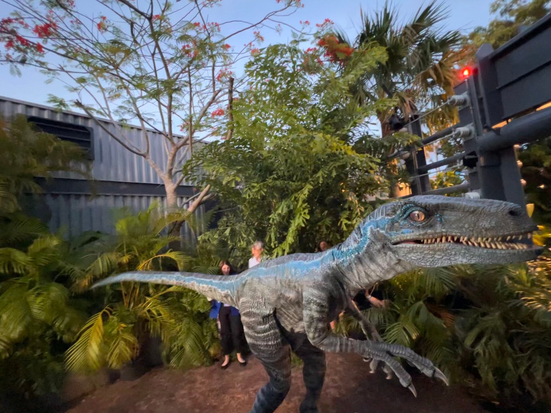 Photo: Sabina Graves/Gizmodo