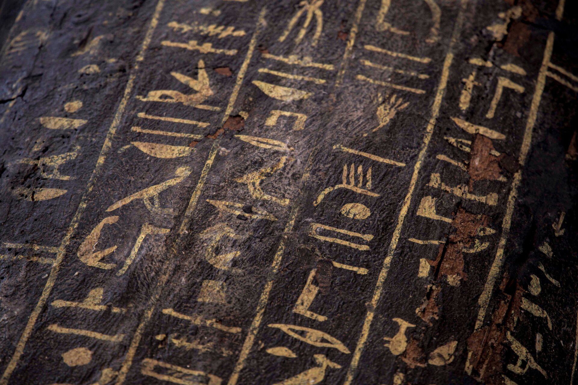 Photo: Mahmoud El-Khawas