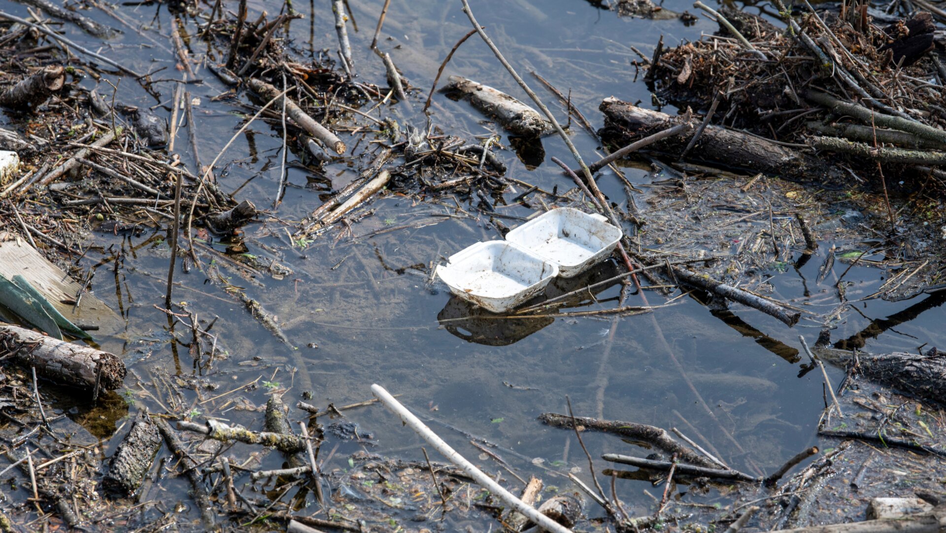 A Styrofoam container floats on the Danube in Germany.