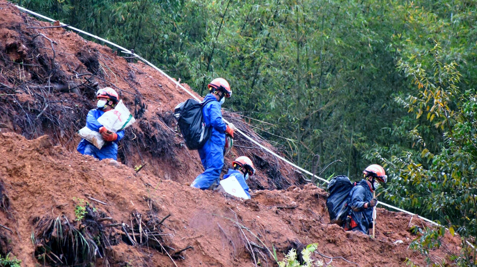 Search party members went through the scene of the crash but found no signs of survivors.