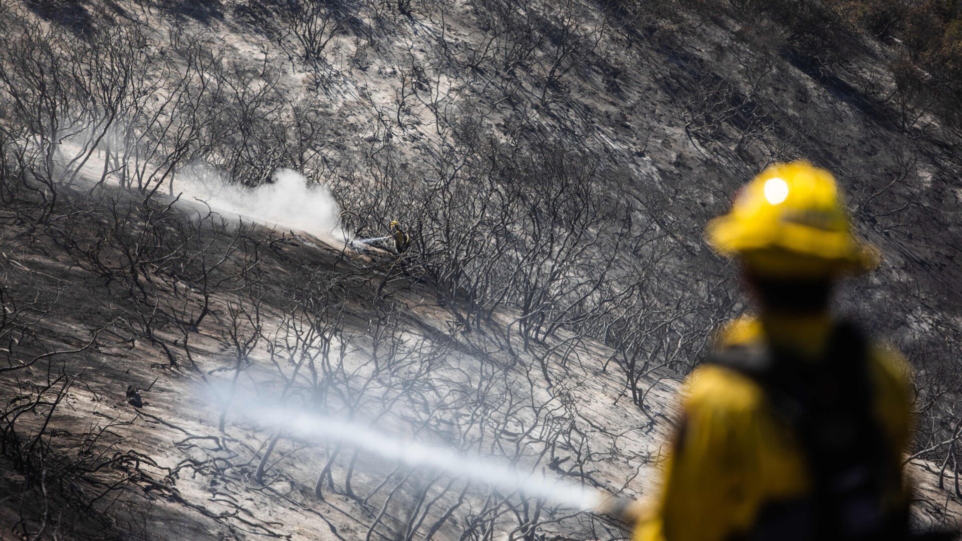 Firefighters fight hotspots in a burned canyon behind homes destroyed by the Coastal Fire in Laguna Niguel, California, May 12, 2022. 