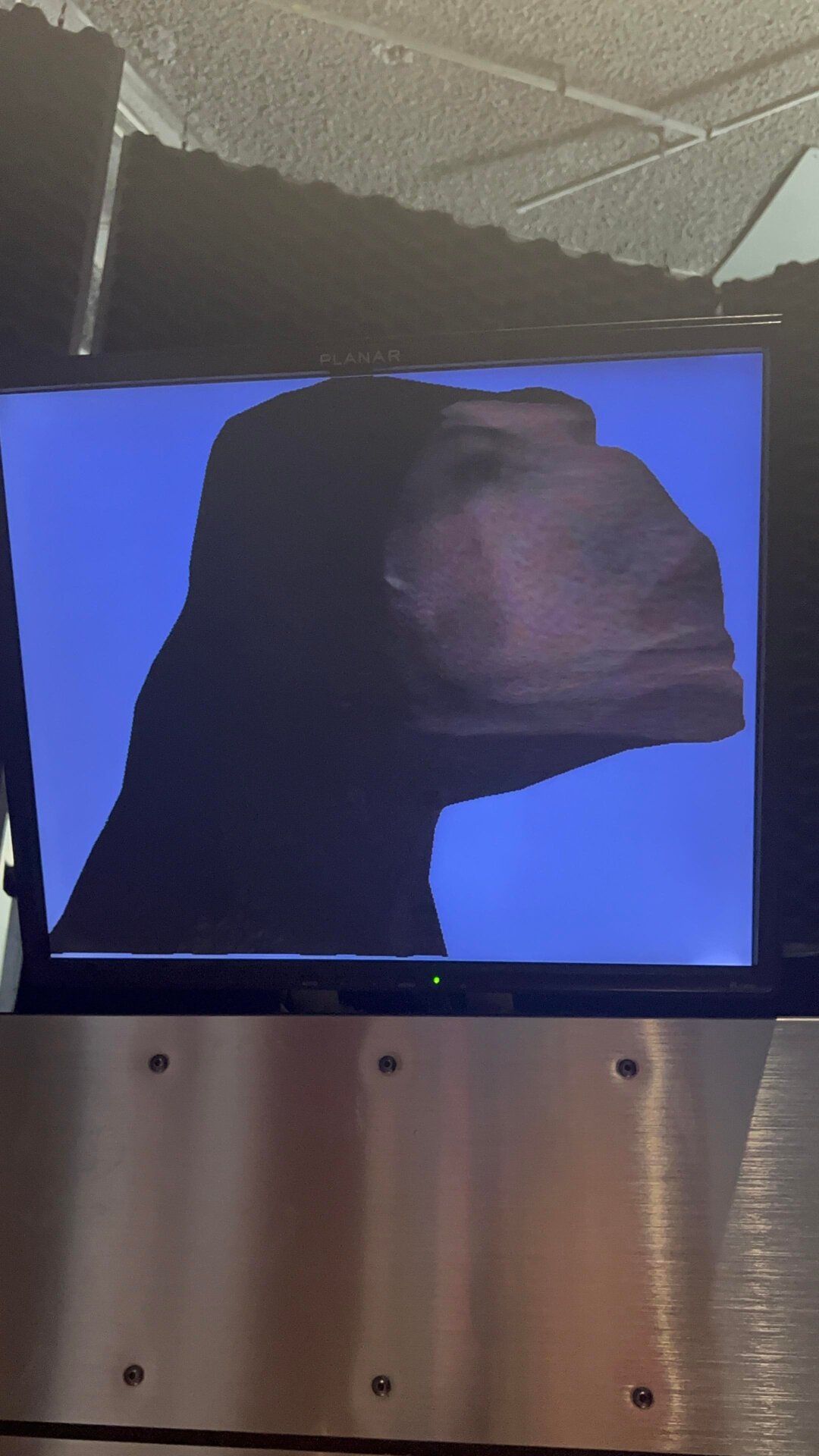 Photo: Sabina Graves/Gizmodo