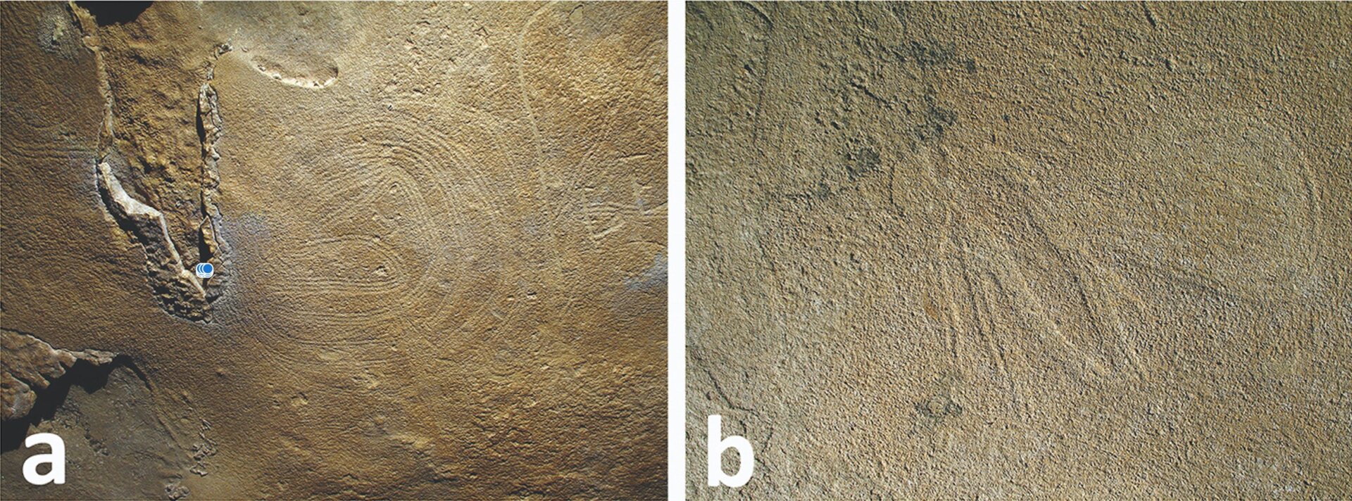 Small mud glyphs of a coiled serpent (left) and wasp (right) in the cave.