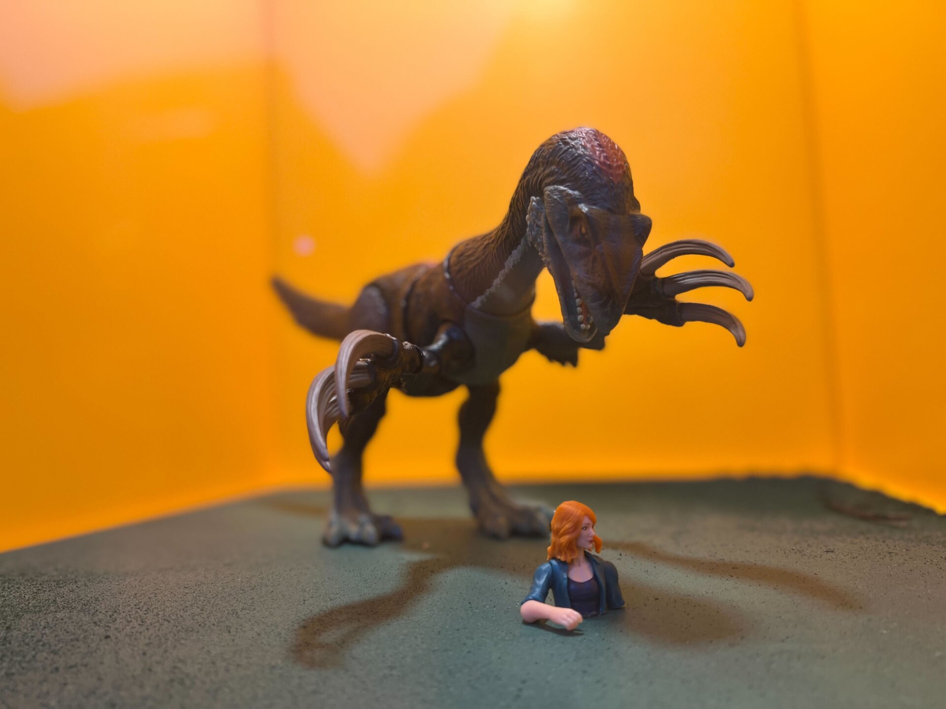 Photo: Sabina Graves/io9