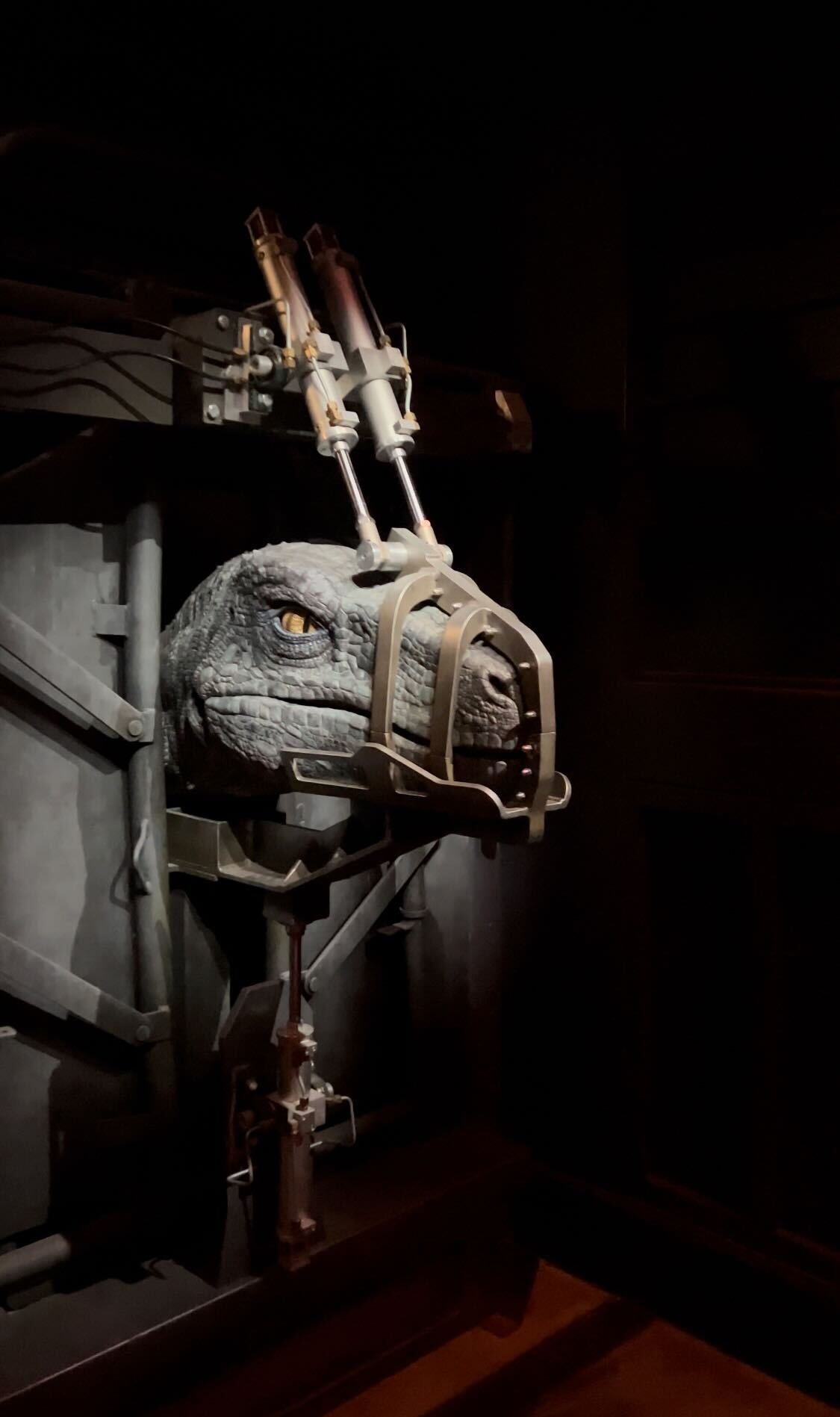 Photo: Sabina Graves/Gizmodo