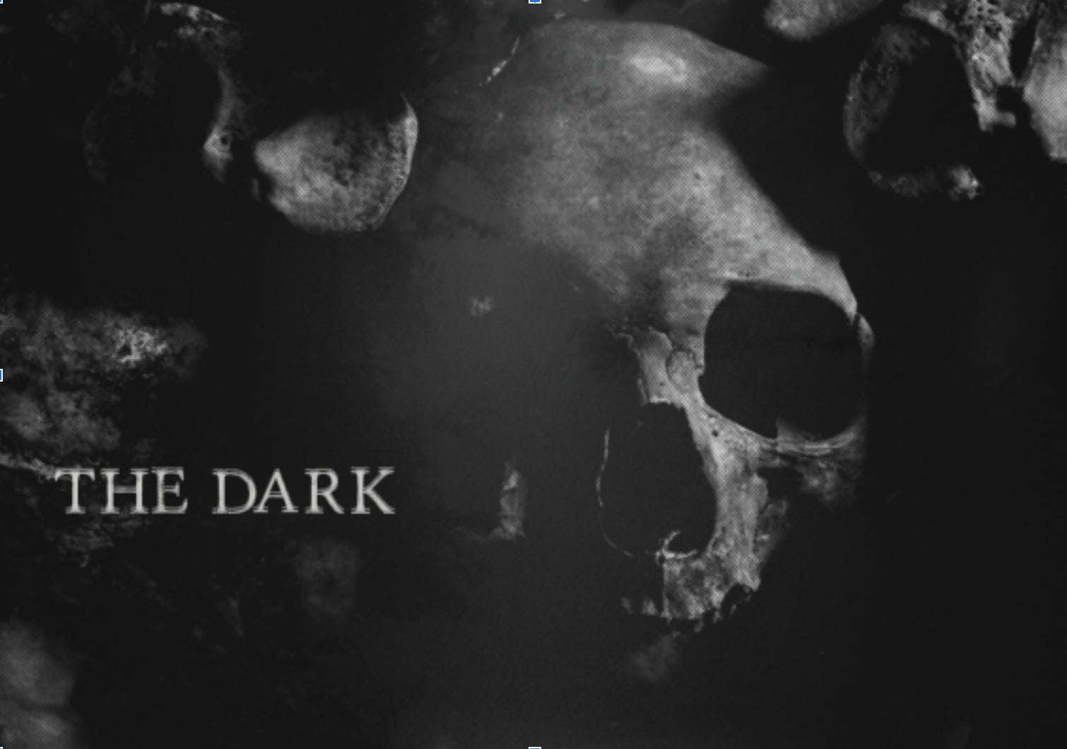 Image: Disaster Tourism