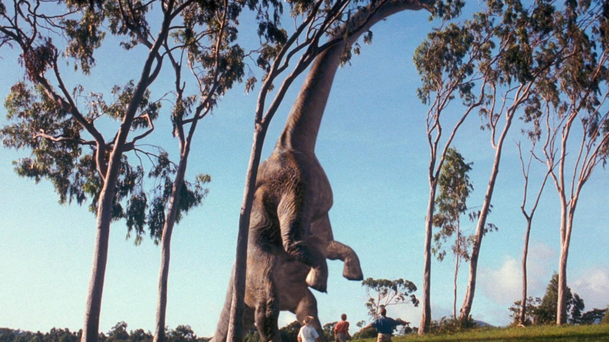 When this happens, I’m usually crying.