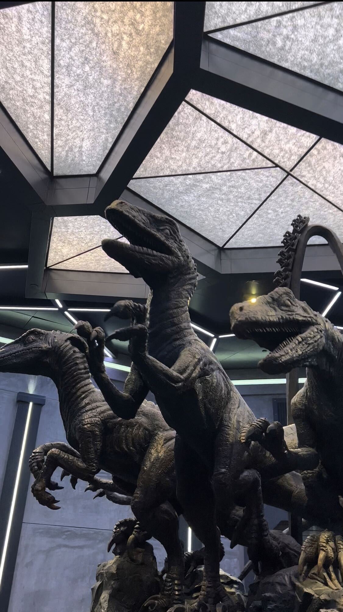 Photo: Sabina Graves/Gizmodo