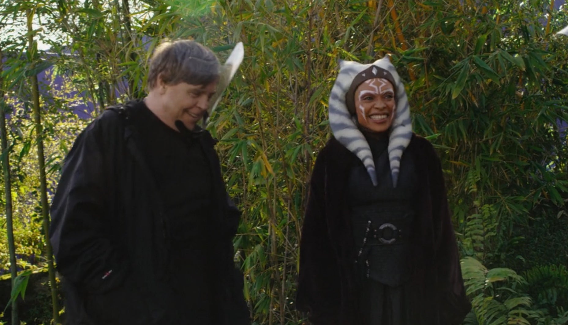 Screenshot: Disney+/Lucasfilm