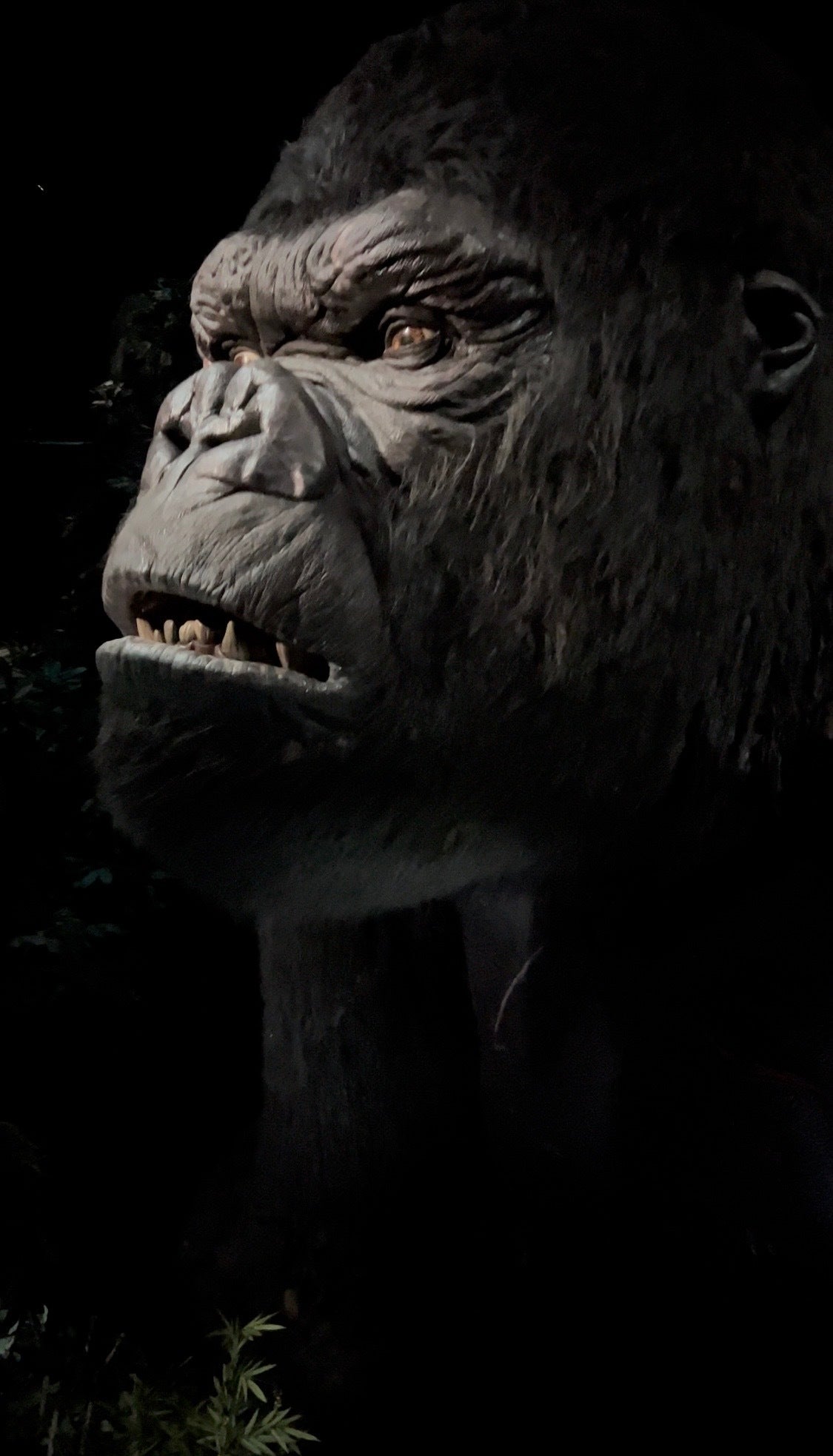 Photo: Sabina Graves/Gizmodo