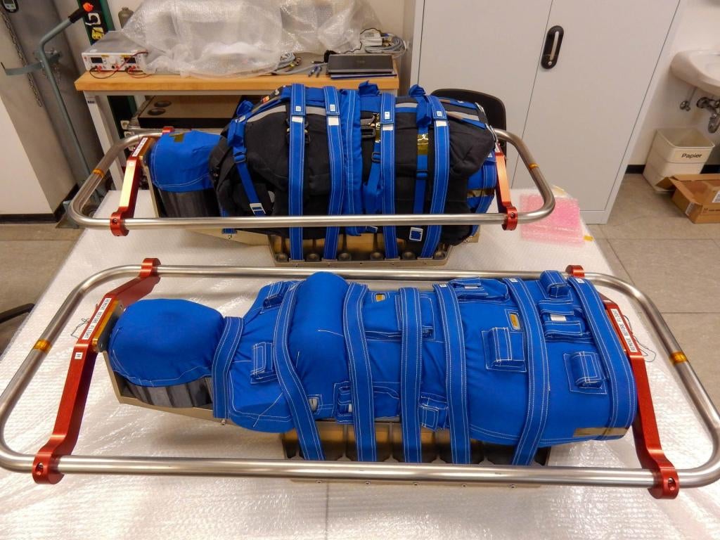 The two torsos prior to transport. 