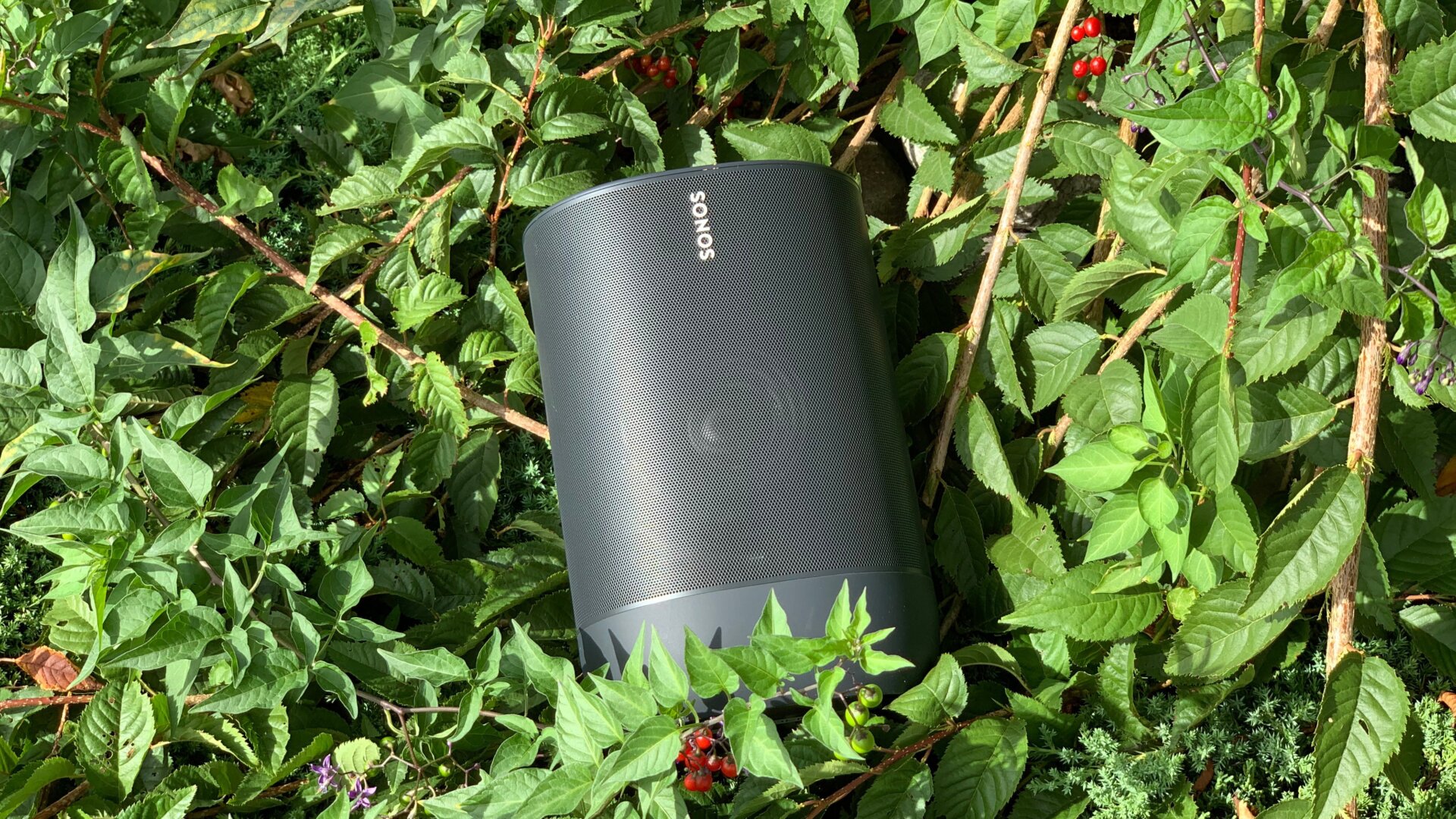 A Sonos in the green grass, rather than in a Google Assistant smart home.