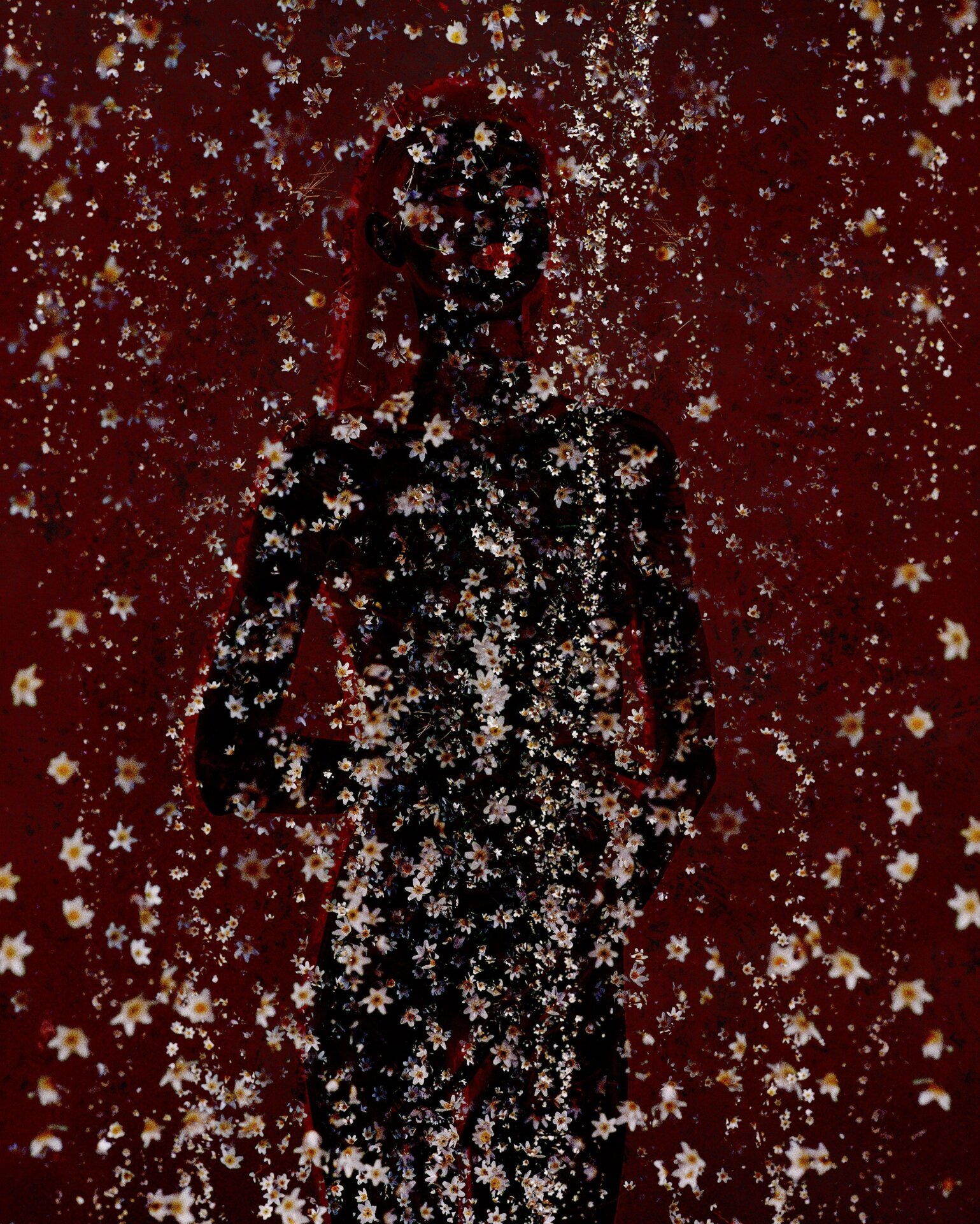 “Flowermania #4,” an NFT by Synchrodogs.