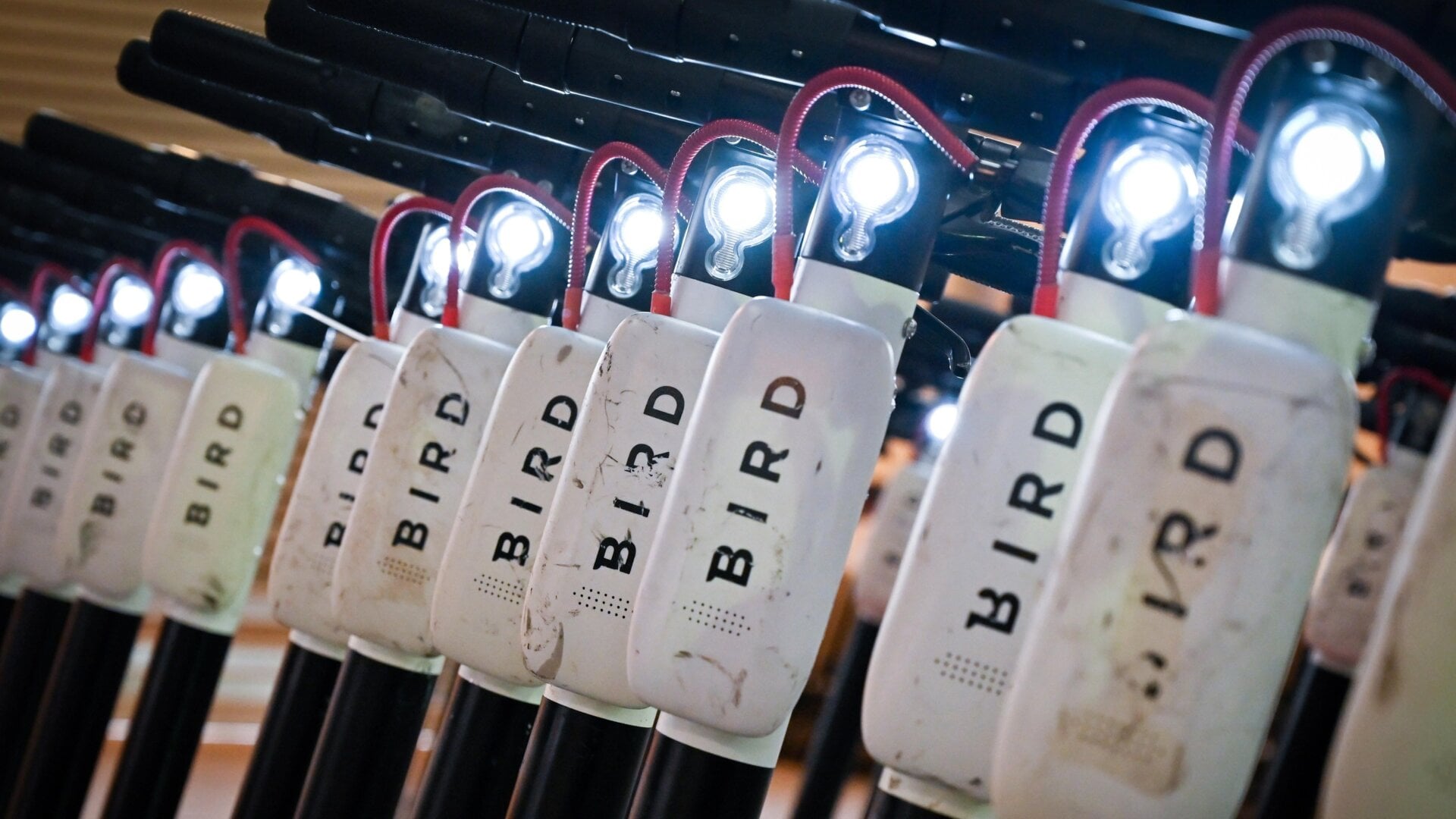 Bird is the latest tech company to announce layoffs in 2022.