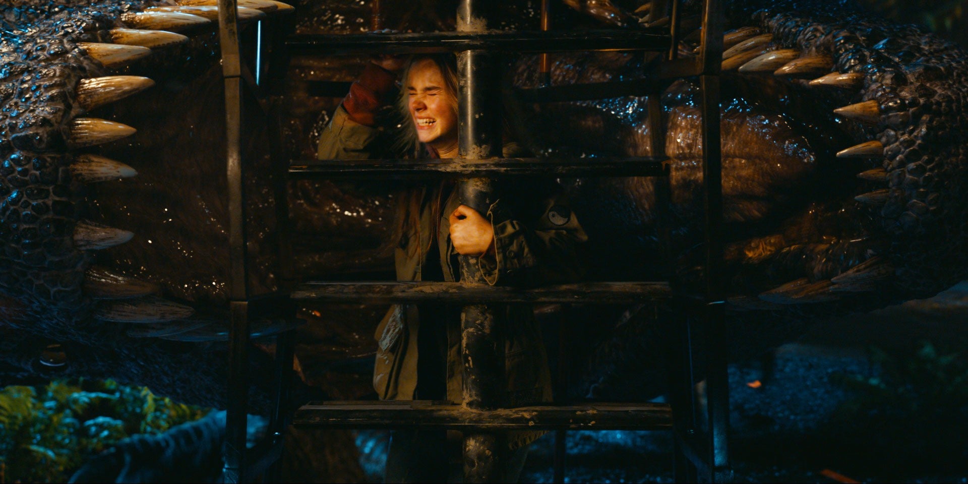 The best shot in the movie, by far. 