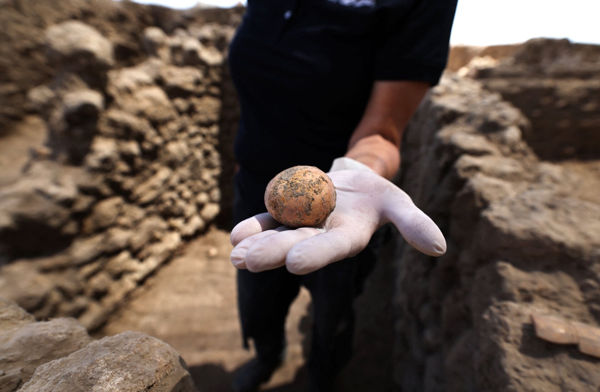 A 1,000-year-old chicken egg found in Israel.