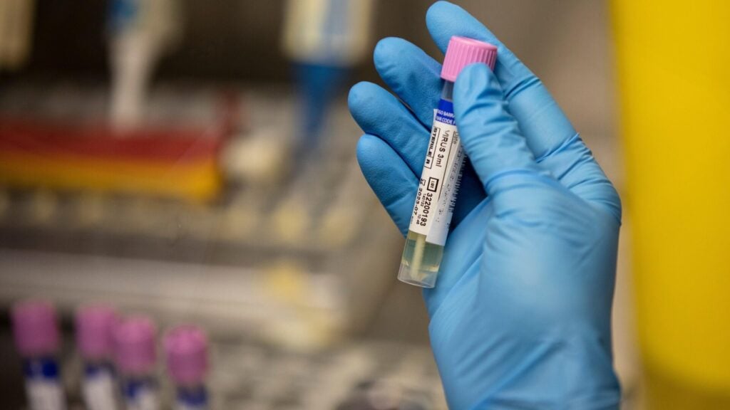 Image: Pablo Blazquez Dominguez