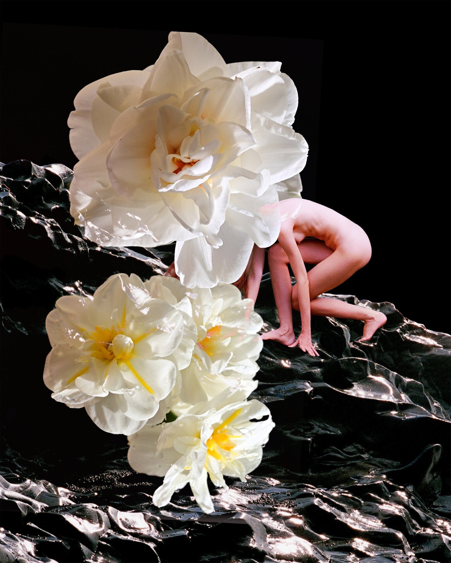 “Flowermania #5,” an NFT by Synchrodogs.