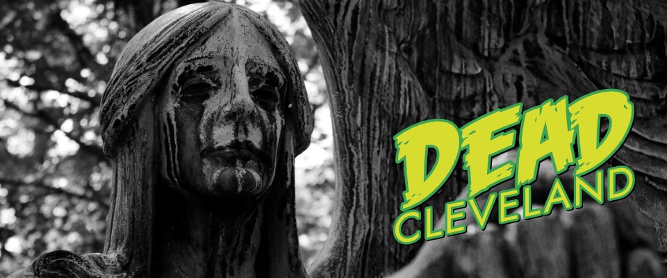 Image: David Garrett