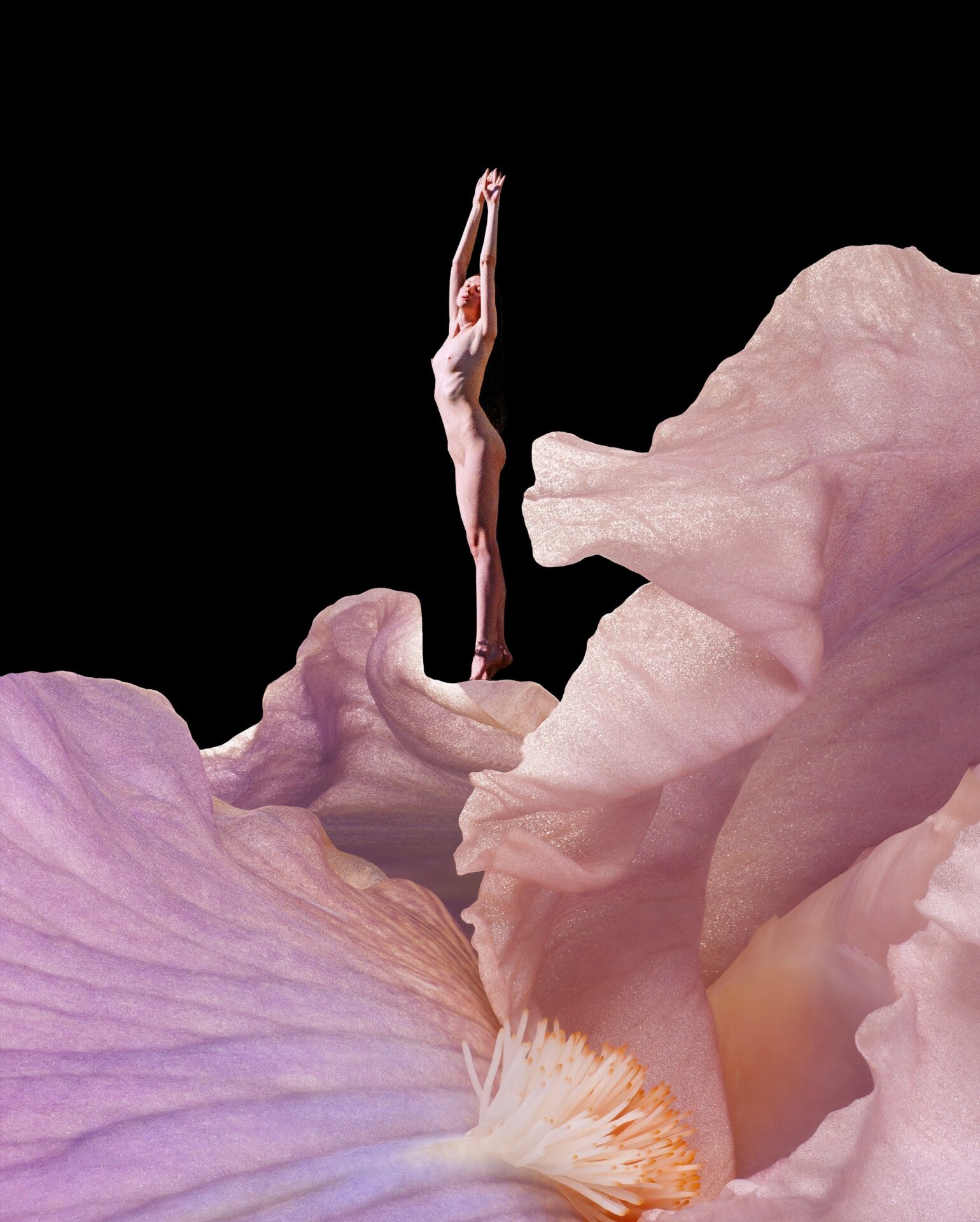 “Flowermania #13,” an NFT by Synchrodogs.