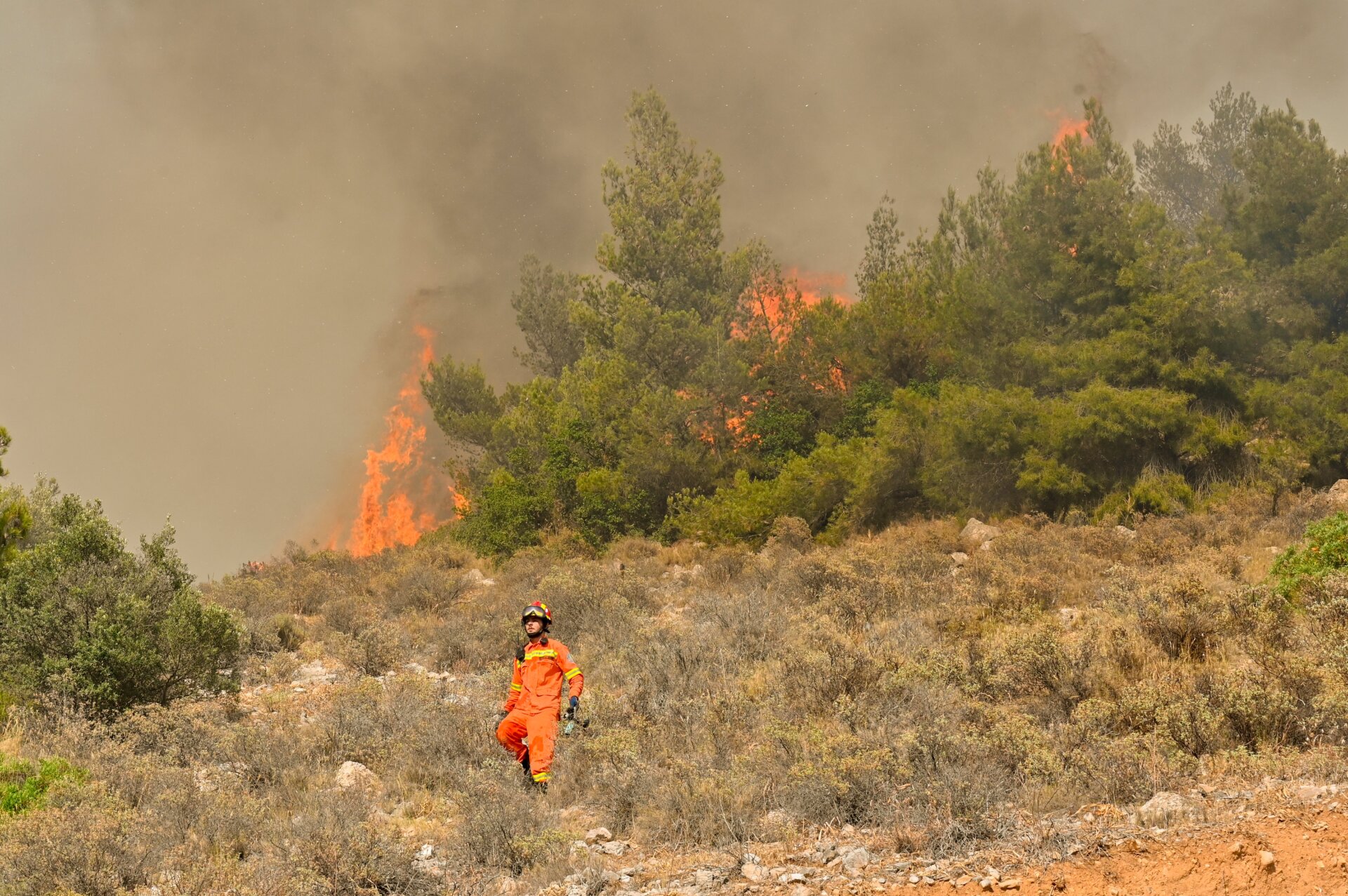 Photo: Milos Bicanski