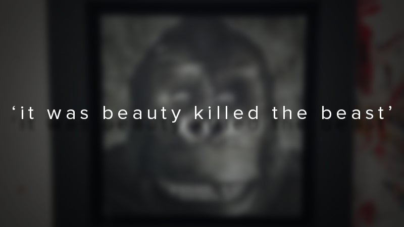 Image: Ashton Gallagher