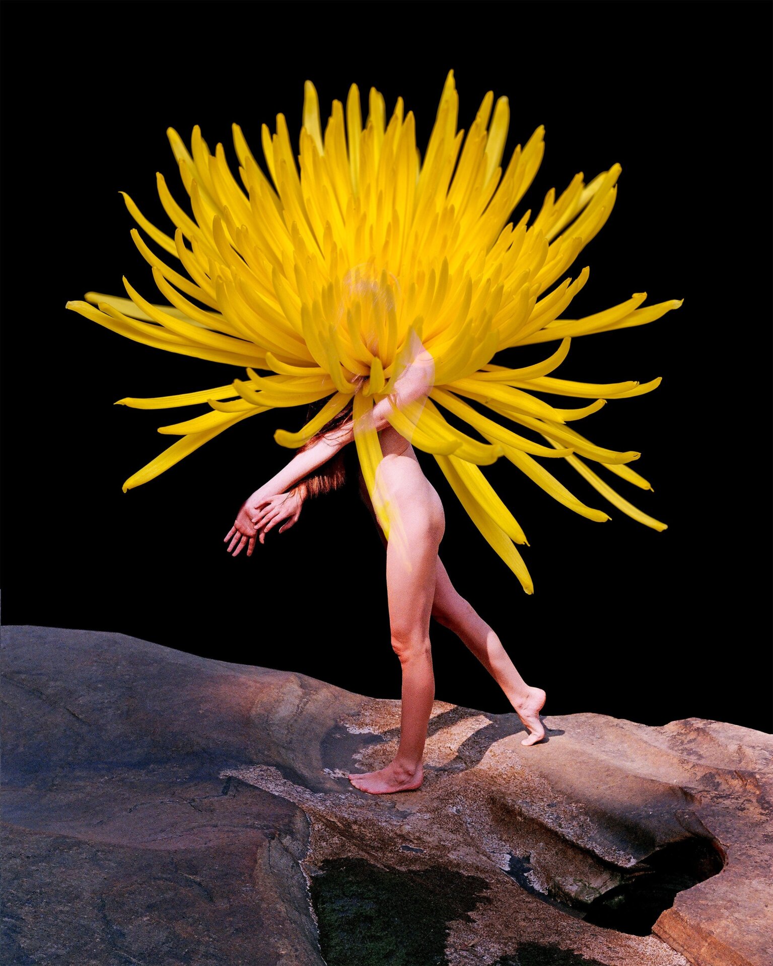 “Flowermania #14,” an NFT by Synchrodogs.