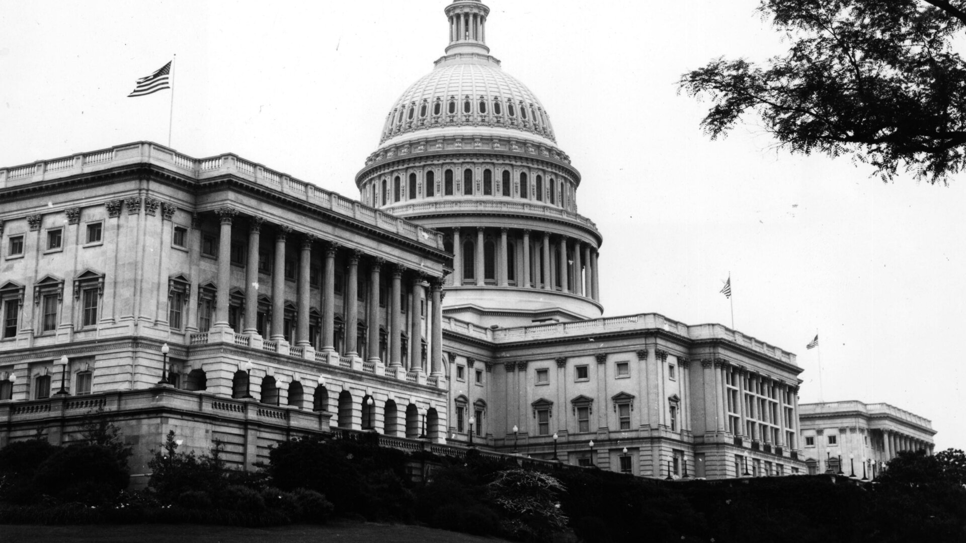 Photo: Central Press