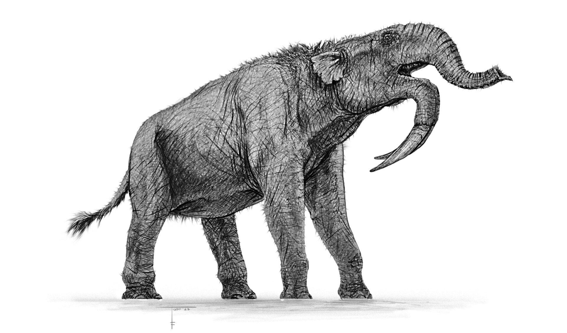 Deinotherium, an ancient proboscidean.