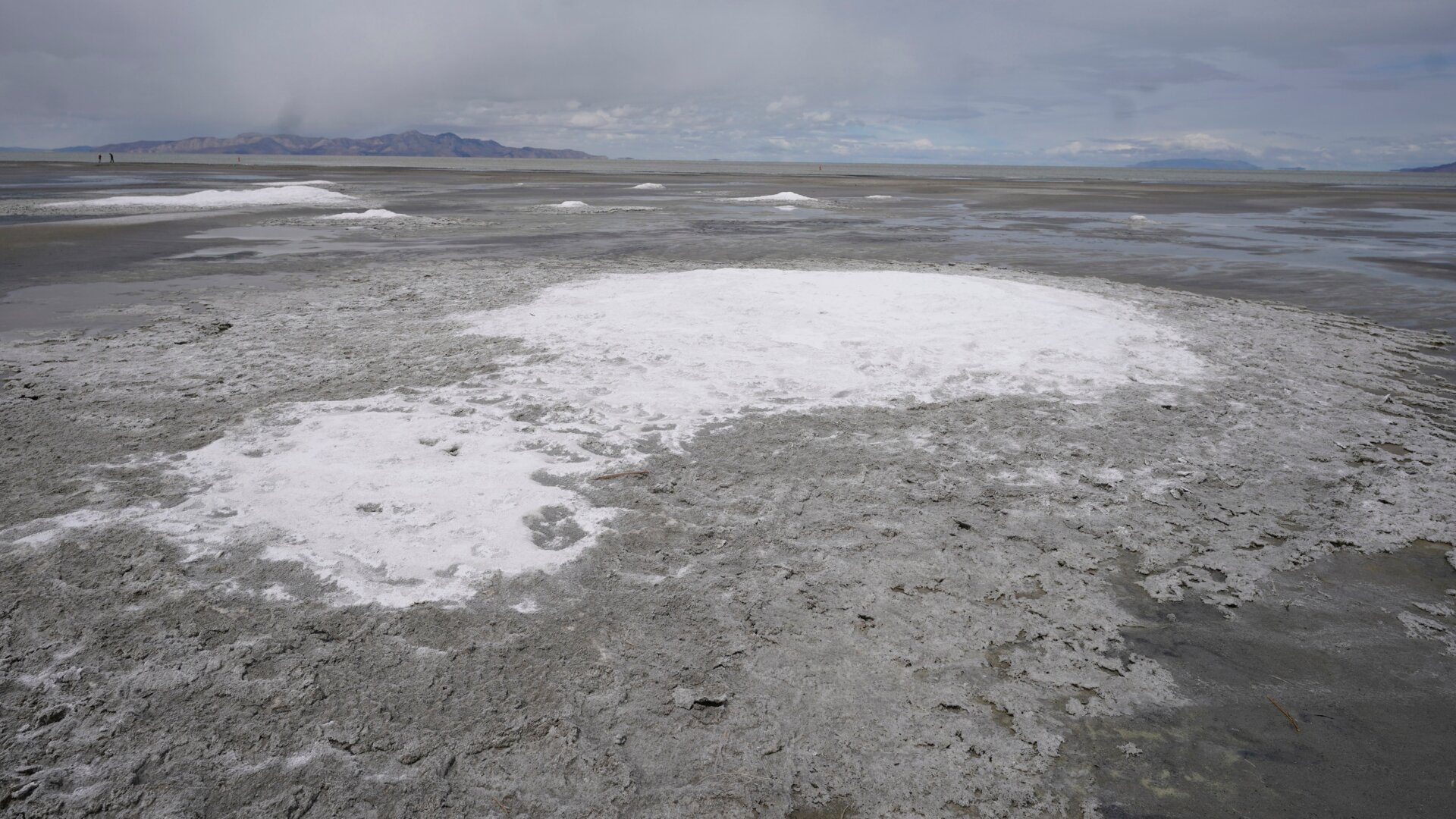 The Great Salt Lake is at record lows, partially because of drought but also largely because of water over harvesting. 